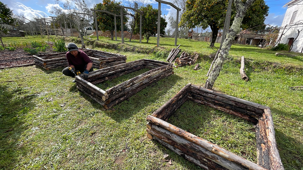 Building RUSTIC Raised Beds from Fallen Pine Trees – MAKE. DO. GROW.